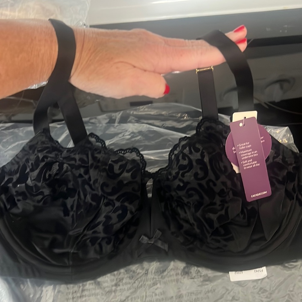 Lane Bryant Bra seriously sexy collection